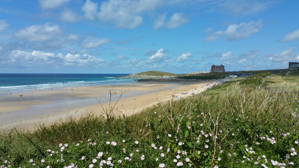 Stargazy * Newquay (Cornwall)